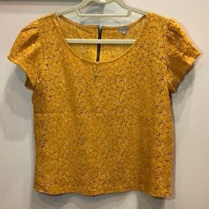 Charlotte Russe Crop Top